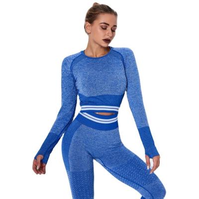 China Customized Seamless Breathable Logo Tops Yoga Tops GYM Long Sleeve Fitness Sports Workout Stretchy Running Women Clothing Tops for sale