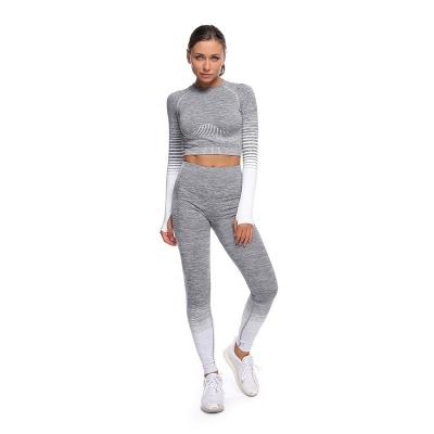 China Breathable Women Workout Clothing Set Custom Logo Long Sleeve Gym Fitness 2 Piece Active Wear Sets for sale