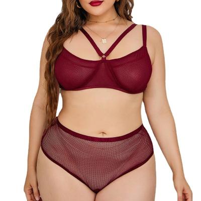 China Lingere OEM women sexy ropa interior plus size 2 piece lingerie lindas de mujeres lace con ropa set sexy interior underwear lingerie for sale