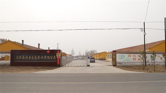 Verified China supplier - Guyuan County Beimai Ecological Agriculture Co., Ltd.