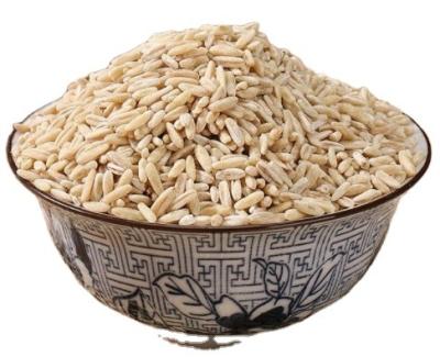 China Bulk premium quality dry natural oat grain oat fiber for sale