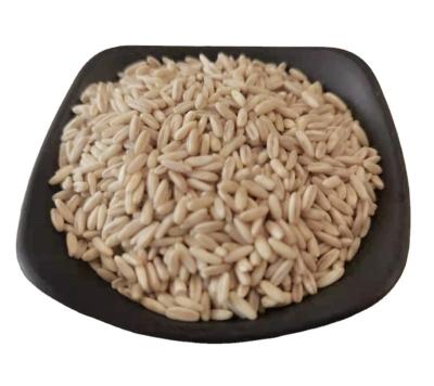 China Suitable Prices Good Quality Dry Seeds Oat Kernels / Oat Kernels Price Per Ton Oat Better for sale