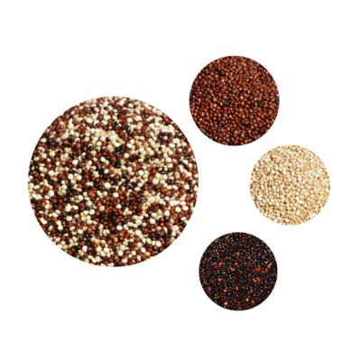 China Dried QUINOA QUINUA for sale