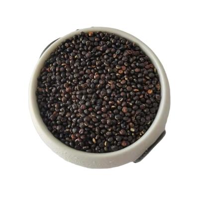 China High Protein Premium Grain Gepofte Quinoa Black Dry Traditional Quinoa for sale