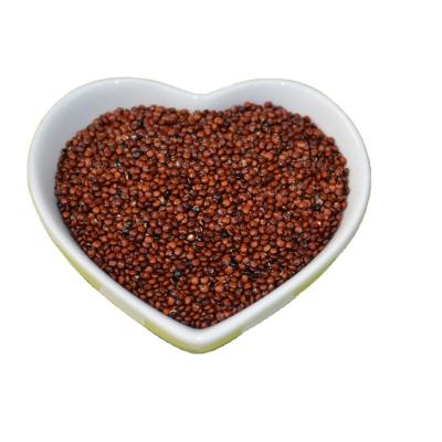 China High-Nutrient Direct Selling Dry Low-Sugar and Healthy Red Quinoa for sale