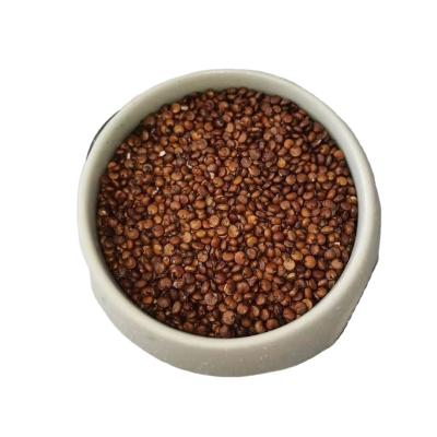 China Dry Selling High Nutritional Value Quinoa Elite Seeds Choice Color for sale