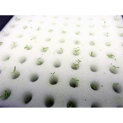 China With White Garden 100pcs/sheet Vegetable Nursery Pots Split Cultivation Plant Copying Hydroponic Collar Sponge Cultivation Soilless Planting for sale