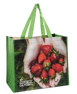 China 2020 EU Market Popular Custom Handled Laminated Non Woven Bags Shopping for sale