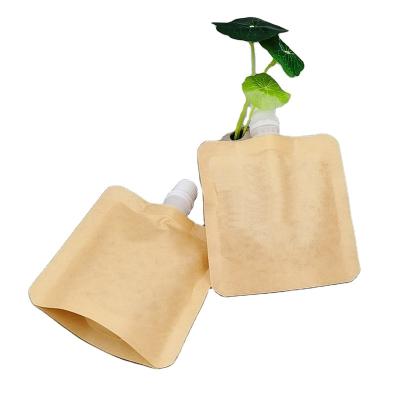 China Safety Beverage Bag Pouch Spout Customize Waterproof Spout Pouch For Drinks for sale