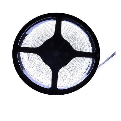 China Other new good quality led strip light led strip light indian suppliers led strip light 12v single color smd5050 for sale