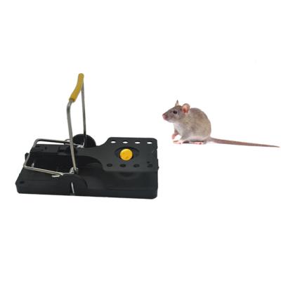 China Viable Hot Selling Disposable Instant Plastic Black Trap Rat Traps Mouse Trap for sale