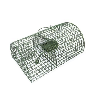 China Viable Reusable Metal Rat Catcher Cage Rat Cage Trap For Home Purpose for sale