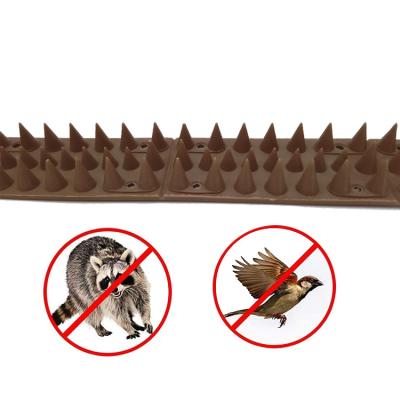 China High Effective Disposable Anti Birds Pigeon Garden Fence Nails For Outdoor for sale