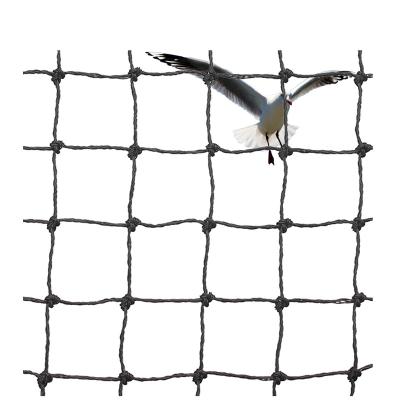 China Sustainable Heavy Duty Bird Netting Anti Bird Netting For Farm Building Garden zu verkaufen