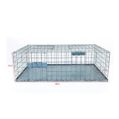 China Quick and easy hook viable Live Bird Trap Cage Ready for use for sale