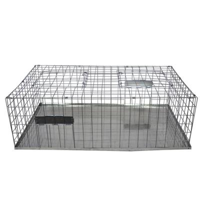 China Multi Viable Live Metal Catch Bird Hook Pigeon Trap Cages For Sale for sale