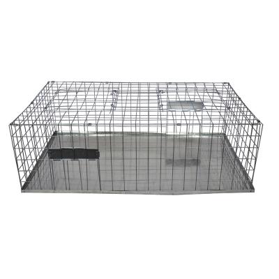 China Viable Live Capture Collapsible Bird Cage Humanitarian Traps For Sale for sale