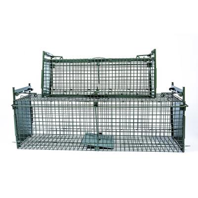 중국 Two Door Viable Live Humane Animal Cage Traps 판매용