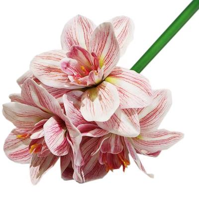 China Evergreen Plants And Flowers For Artificial Clivia Flower Decoration 2022 Wholesale Decoration HC1855 PU High Quality Handmade Touch Of Real for sale