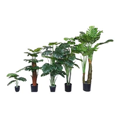 China Large Plants HC1824 Tortoise Style Leaf Multi Back Bonsai Decorative Artificial Plants Potted Indoor Green Plant Fresh for sale