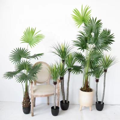 China Large Indoor Potted Ground Artificial Plants HC1825 Pufan Palm Plant And Tropical Bonsai Plant For Home Decor for sale