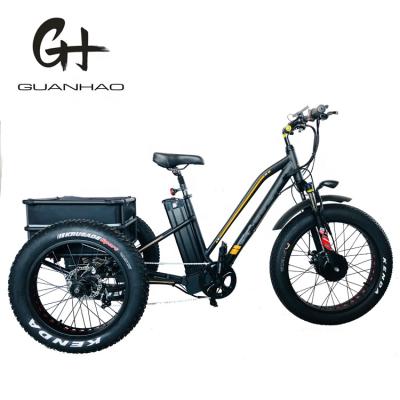 China 8Fun 750W Aluminum Front Motor 4.0 Tire Snow EN15194 Cargo 750 Watt Electric Tricycle for sale