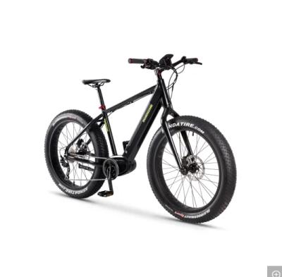 China 2020 BMX Bike Running Type Line for Bafang Children, Youth and Beginner Road Training MI Electric Bicycle Fat Motor Tire with 48V 15ah Lithium Battery for sale