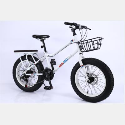 China Steel hydraulic disc 20 inch aluminum alloy sepeda mountain bike 20er mtb bicycle for sale