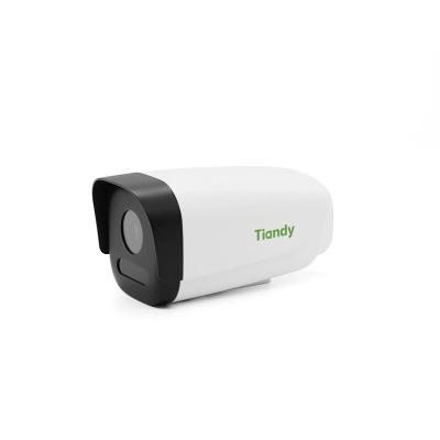 China Waterproof / Tiandy TC-C13EN IR Dome Camera 2MP CMOS Sensor 1080P HD POE Home Security Waterproof IP Camera for sale