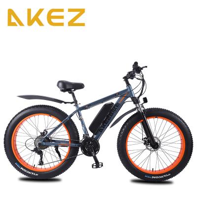 China Fat Standard Electric Bike for sale