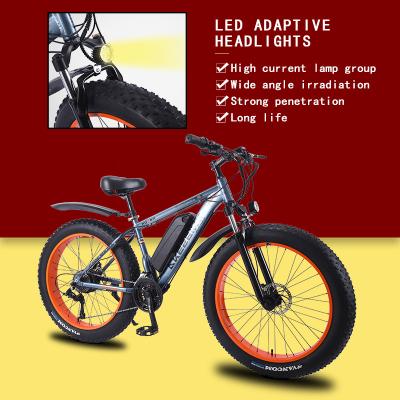 China Fat tire 350W 36V snow standard electric bicycle for sale