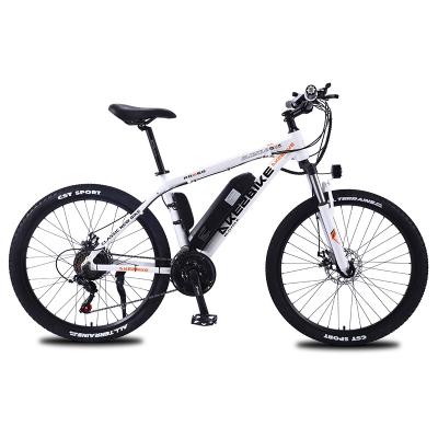 China Standard Electric Bicycle Aluminum Mountain Bike for sale