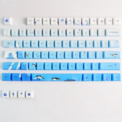 China Macaron 104 blue and white keyboard rainbow durable high quality PET keycaps excellent customization DIY for sale