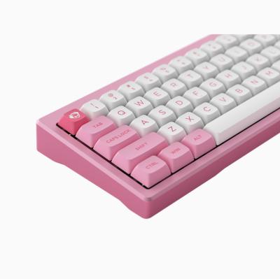 China OEM Profile Mechanical Gaming Keyboard Keycaps Set Mechanical Keyboard Quiet Keyboard PBT-155keys White Pink Keyboard Princess for sale