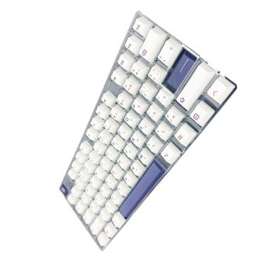 China Good Feeling + Resist Color Fade Best Selling Profile Mechanical Keyboard Keycaps for sale