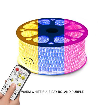 China LANDSCAPE Waterproof IP65 new 220v ceiling flexible led strip light 5730 led white blue purple color change led strip light for sale