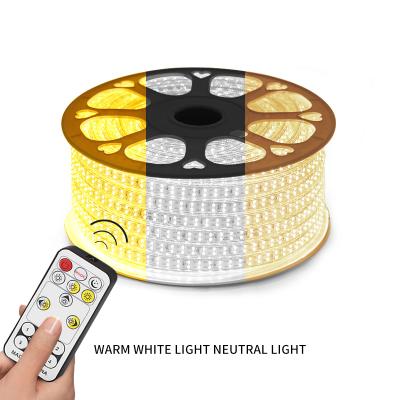 China LANDSCAPE 5m 5730 120 Smart Led City Landscape Strip RGB Light Outdoor Led Strip Light Led Cob 220v Strip Light for sale