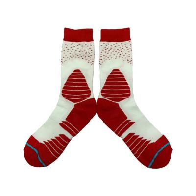 China Adult Regular Men or Women Team Skiing Sports Socks with Hot Red Beauty Printing for sale