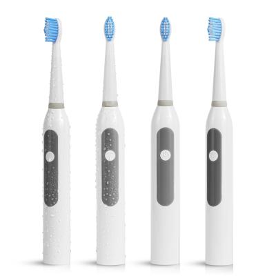 China OEM PT3 Travel Battery Powered Replacements Slim Electric Toothbrush Battery Operated Sonic Toothbrush Head Clean Oral Care for sale