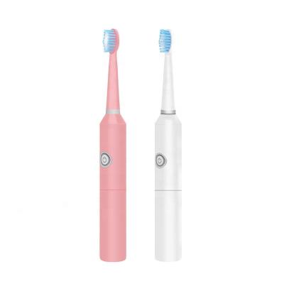 China PT8 Sonic Toothbrush Battery Operated Waterproof Battery Sonic Automatic Toothbrush with 2 Replacement Brush Heads Sonic Toothbrush Adult for sale