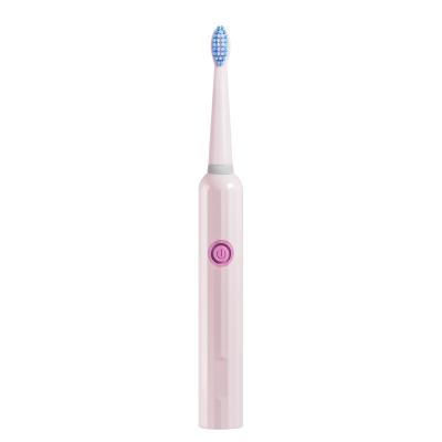 China PT9 Battery Operated Cheap Adult Battery Electric Toothbrush With Replacement Heads Electric Toothbrush For Home Sonic Toothbrush for sale