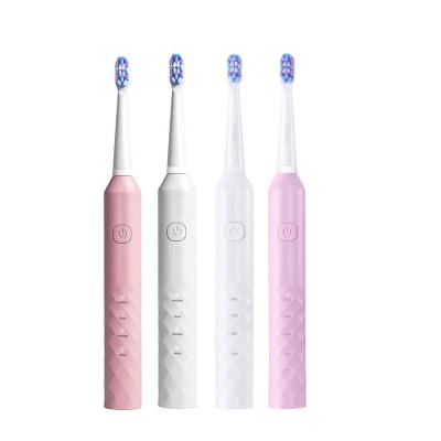 China Waterproof Adult Electric Toothbrush PT4X USB Rechargeable Automatic Automatic Electric Vibration OEM/ODM Charging Sonic Electric Toothbrush Rechargeable Power for sale