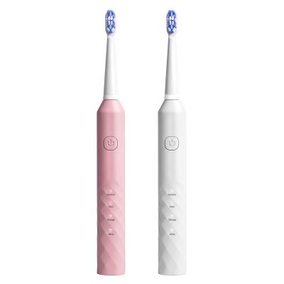 China USB Charging PT4X OEM Free Sample IPX7 Waterproof Electric Toothbrush USB Charging Sonic Electric Power Toothbrush Rechargeable for sale