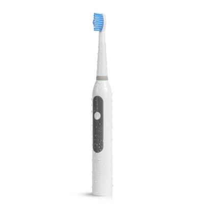 China New hot sale colorful waterproof ipx7 toothbrush OEM battery operated electric for sale