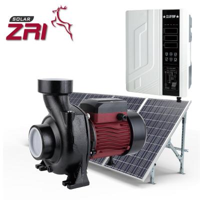 China Home Zri AC DC Hybrid Solar Surface Water Pump Complementary Centrifugal Pump, Solar Water Pump For Irrigation for sale