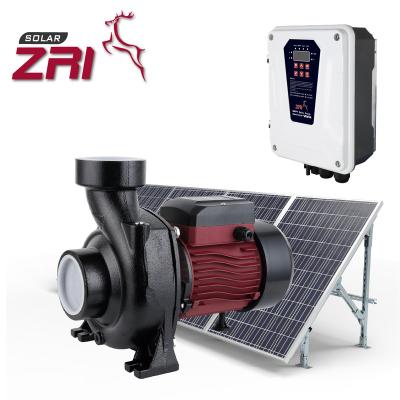 China ZRI MPPT Sureface Systems Household Solar Powered Water Pump, Solar Dc Water Pump, 12v Dc Solar Pump for sale