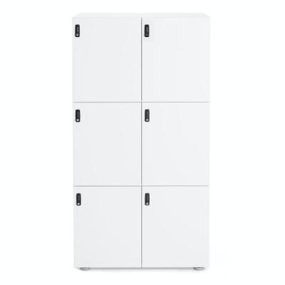 China Cheap price KD steel locker 6 door locker KD structure metal cabinet structure for gym clothes storage locker for sale