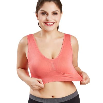 China Amazon Breathable Plus-Size Yoga Vest B Women Yoga Sports Shockproof Frontier Bra for sale