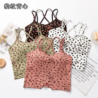 China New Style QUICK DRY Girls Invest Tops Long Chest Seamless Cross Back Wrap Tube Chest Pads Cotton Top Sling Leopard Print Bra Top For Woman for sale