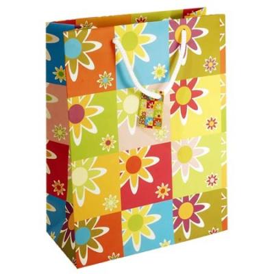 China Shopping Gloss / Matte Lamination, Hot Stamping, Embossed Paper Gift Bags with Handles for sale